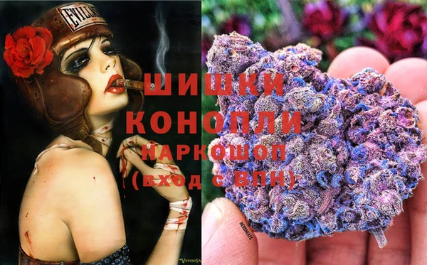 гашик Беломорск