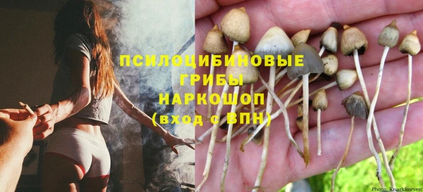 сатива Белоозёрский