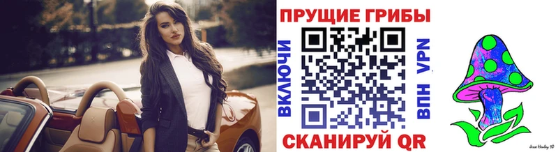 Галлюциногенные грибы мицелий  где купить   Дорогобуж 