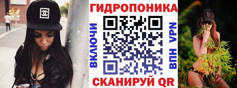 закладка  Дорогобуж  мега   Каннабис гибрид 
